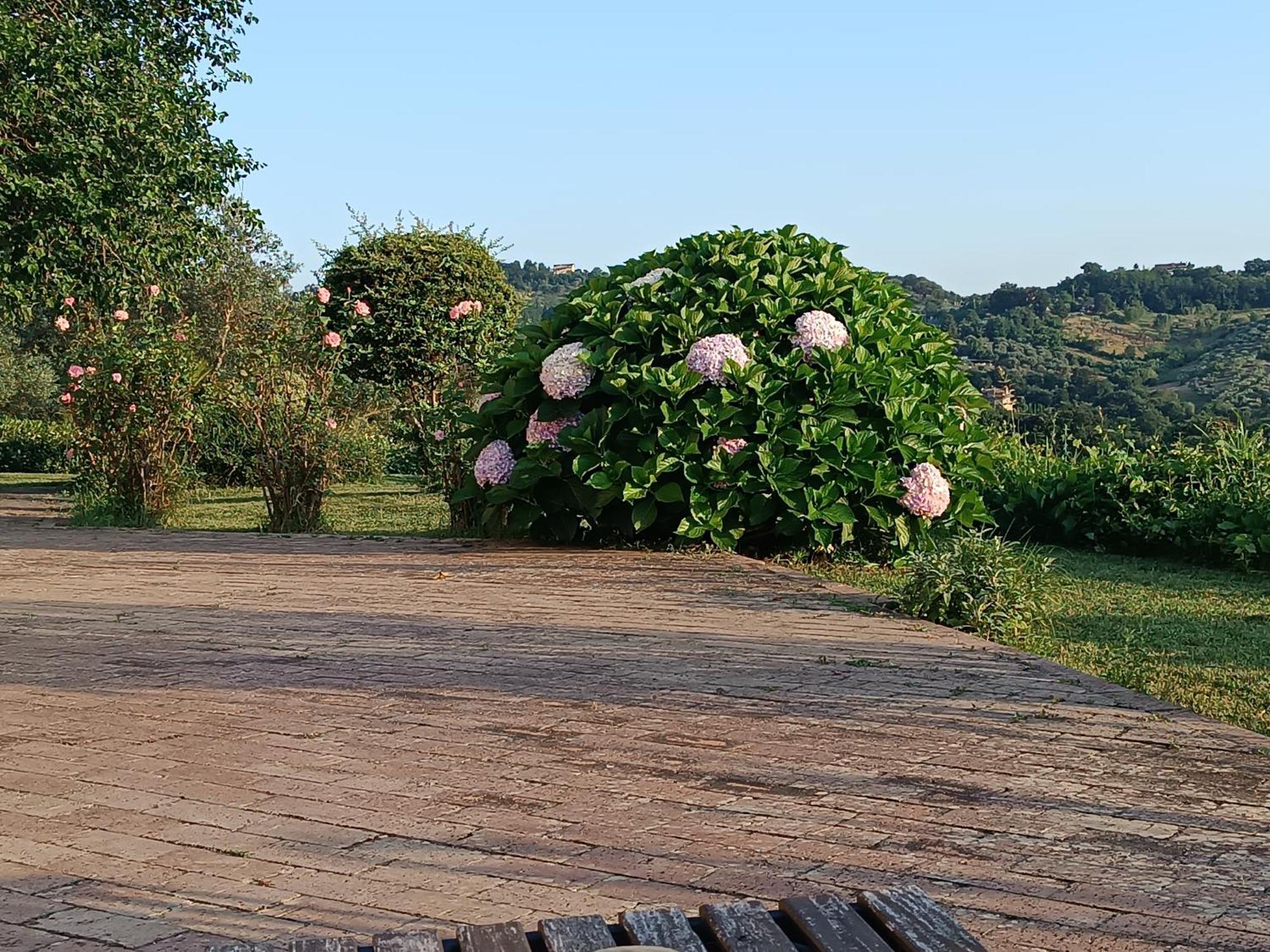 Caiazzo Santa Lucia B&B מראה חיצוני תמונה